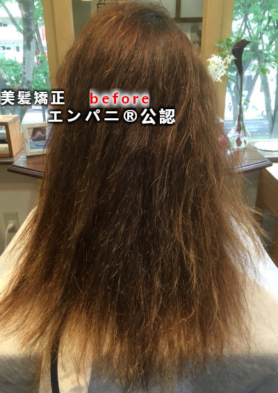 勝田台 毛髪を極めた勝田台縮毛矯正はノートリートメントで美髪化を起こすことでダメージレスを証明している